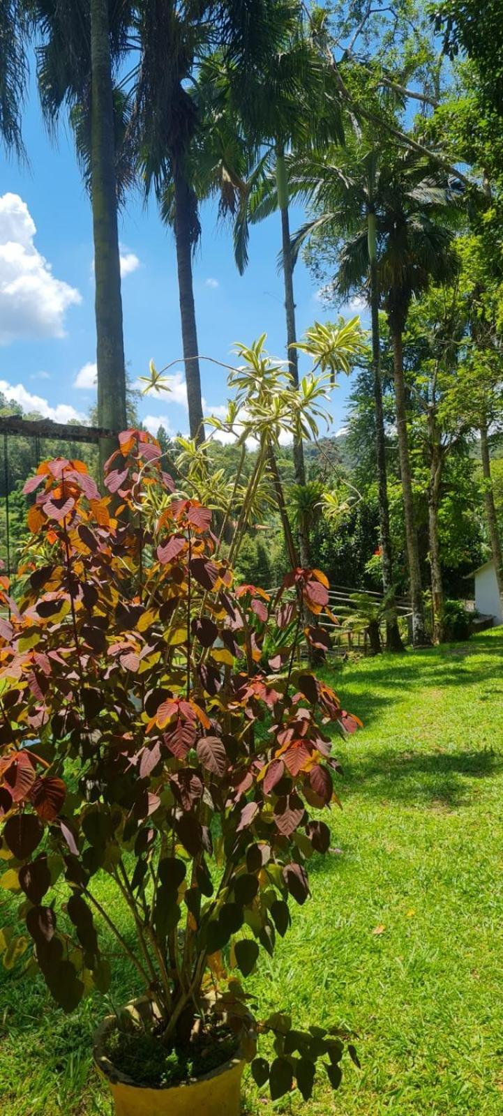 Sitio Saramandaia Villa Juquitiba Exteriör bild
